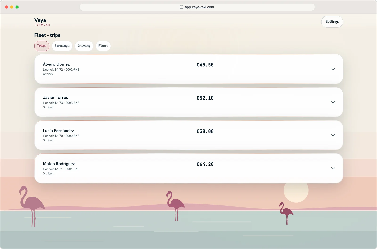 Owner screen: trips and totals per driver and licence